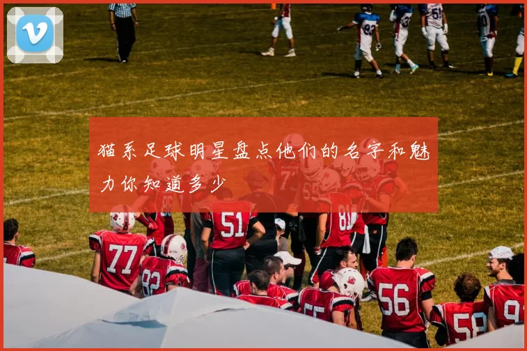 猫系足球明星盘点他们的名字和魅力你知道多少