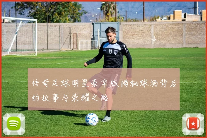 传奇足球明星豪华版揭秘球场背后的故事与荣耀之路