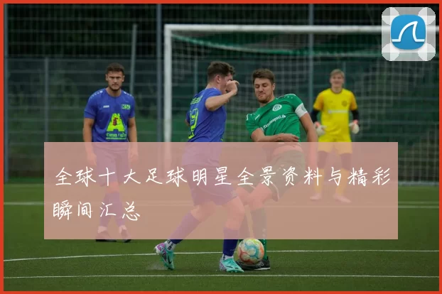 全球十大足球明星全景资料与精彩瞬间汇总