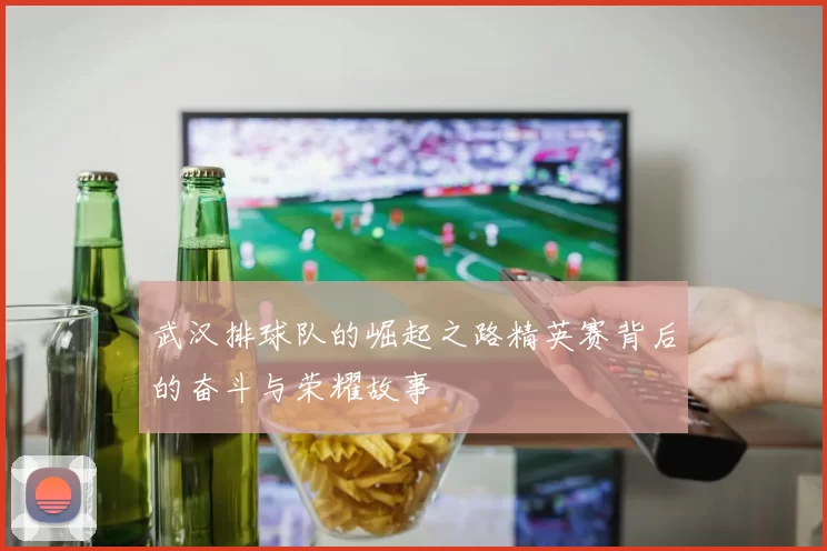 武汉排球队的崛起之路精英赛背后的奋斗与荣耀故事