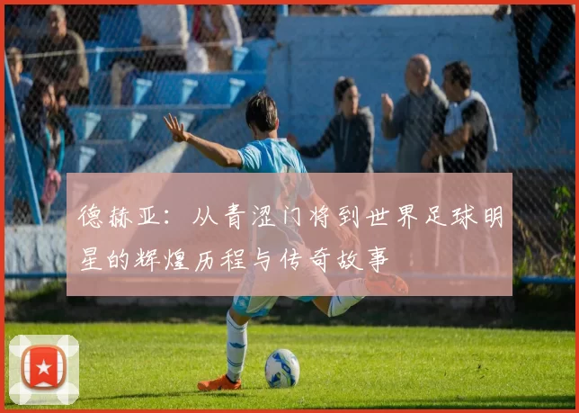 德赫亚：从青涩门将到世界足球明星的辉煌历程与传奇故事